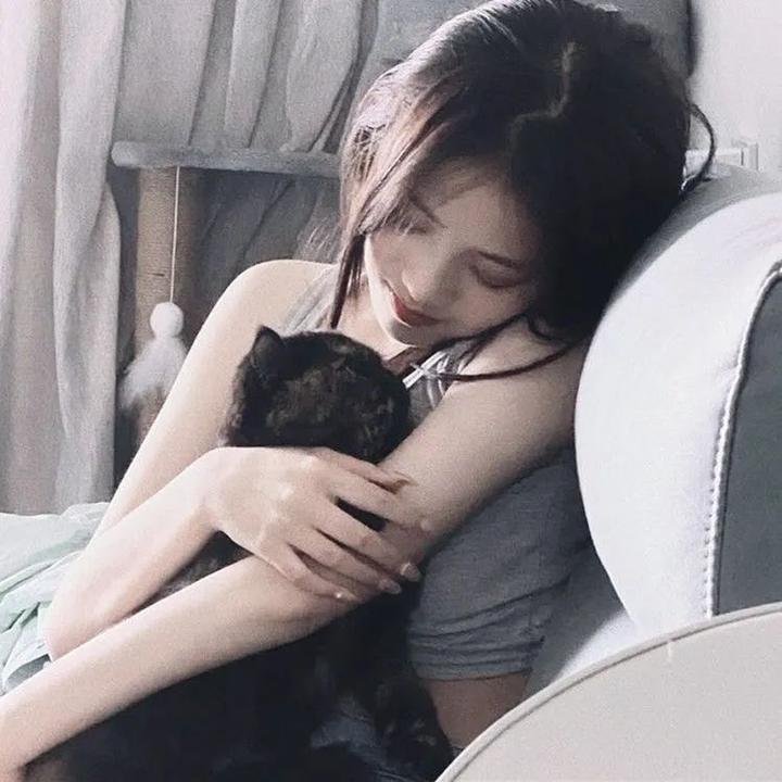 鞋猫剑客